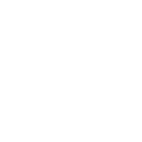 淄博司机保镖服务